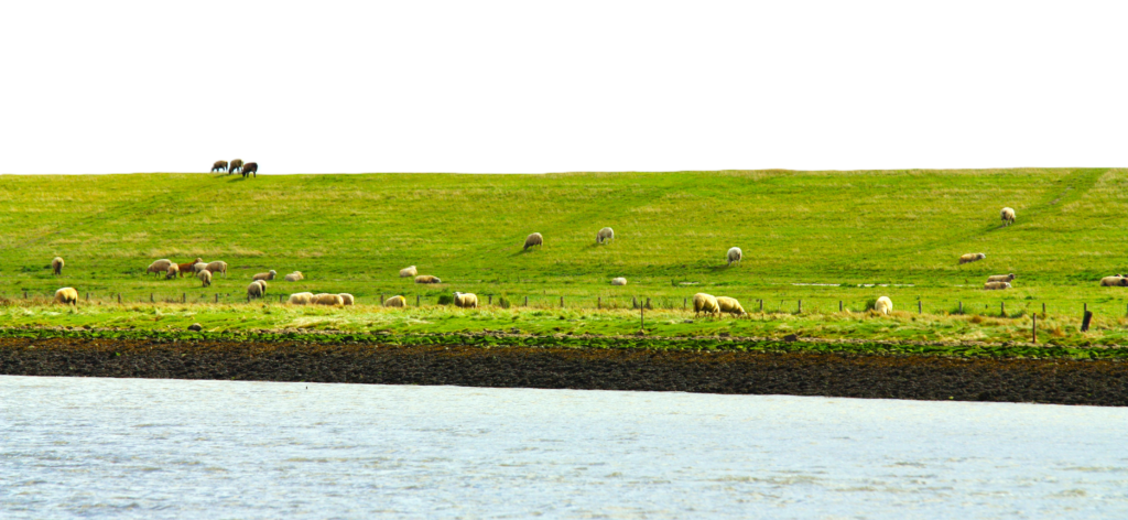 Pressetexte img 8951df